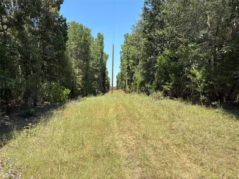 tbd Fm 69 #TRACT 2, Como, TX 75431 photo 3