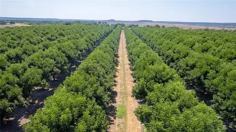 tbd County Road 216, San Saba, TX 76877