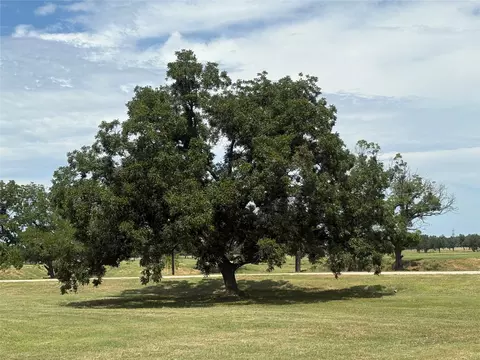 1078 River Ranch Ln, Weatherford, TX 76087