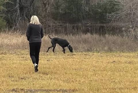 tbd E Hcr 2224, Aquilla, TX 76622