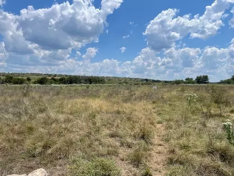 217 Park Meadows Dr, Gustine, TX 76455 photo 3