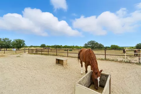 Other - 14701 Highway 16 S, Comanche, TX 76442 photo 9 of 12