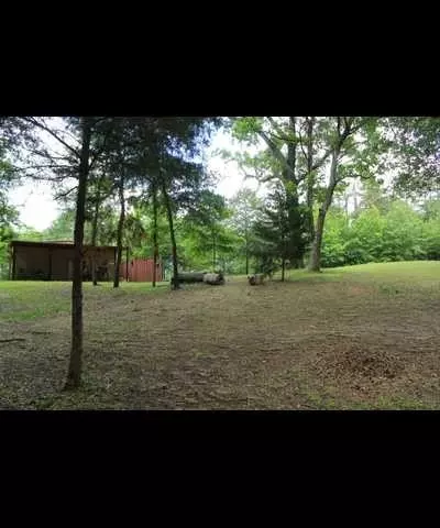 tbd County Road 3180, Winnsboro, TX 75494