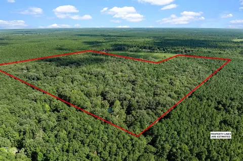 356 Cottage Grove Rd, Benton, LA 71006