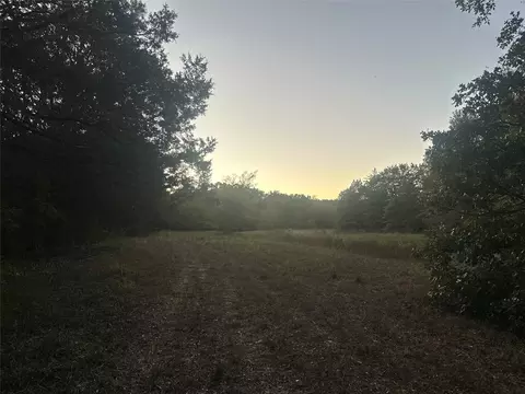 tbd County Road 1180, Cooper, TX 75432