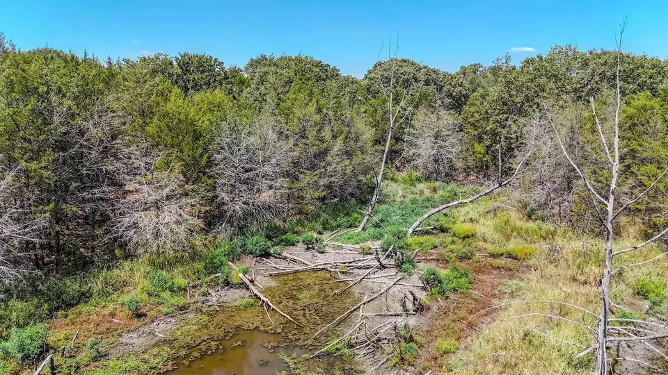  000 Fm-273, Ivanhoe, TX 75447 photo 21