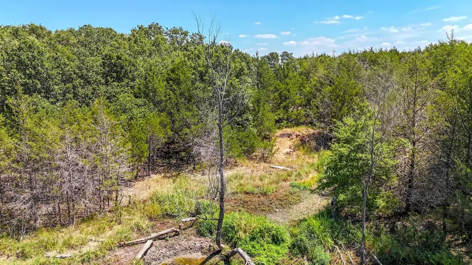  000 Fm-273, Ivanhoe, TX 75447 photo 22