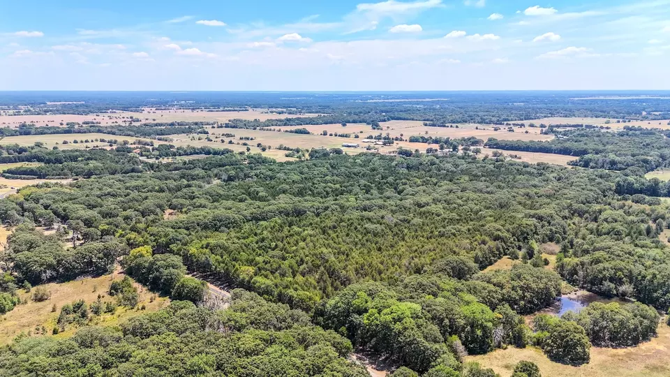  000 Fm-273, Ivanhoe, TX 75447 photo 5