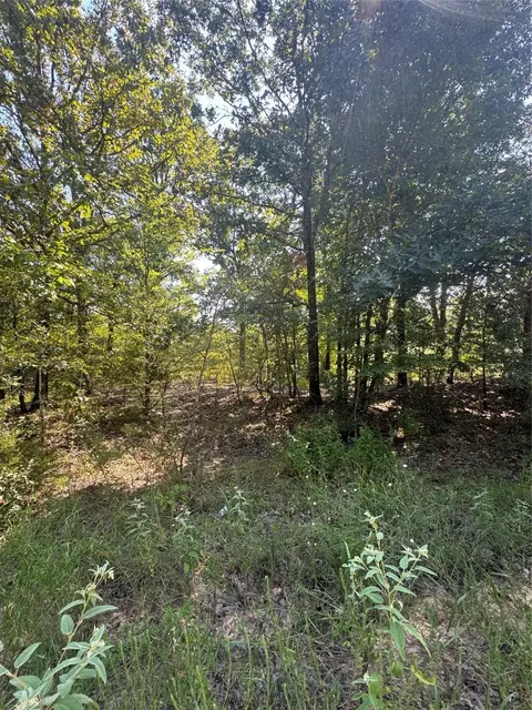 1682 Christine St, Blossom, TX 75416
