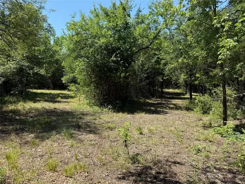310 W Cardinal St, Ector, TX 75439 photo 4