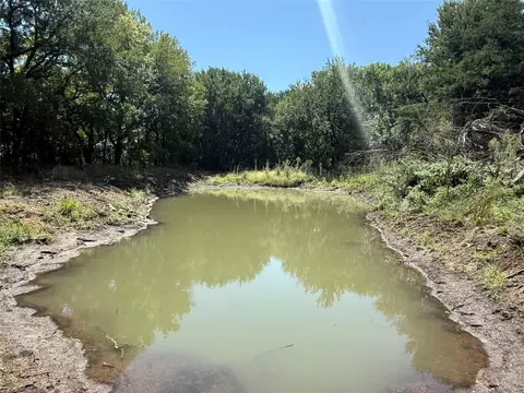 310 W Cardinal St, Ector, TX 75439 photo 5