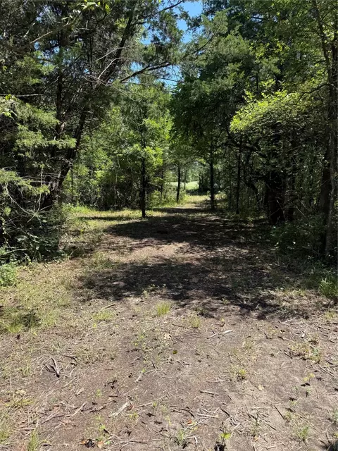 310 W Cardinal St, Ector, TX 75439