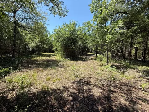 310 W Cardinal St, Ector, TX 75439 photo 9