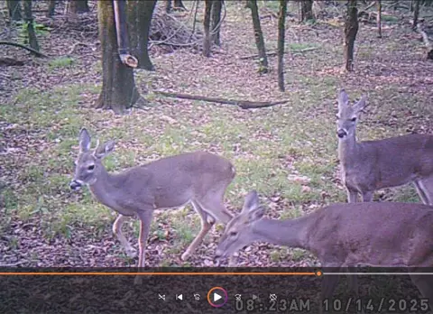 tbd Pr 5042, Bogata, TX 75417