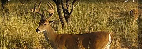 14 E Acres E Fm 765, Lohn, TX 76852 photo 5