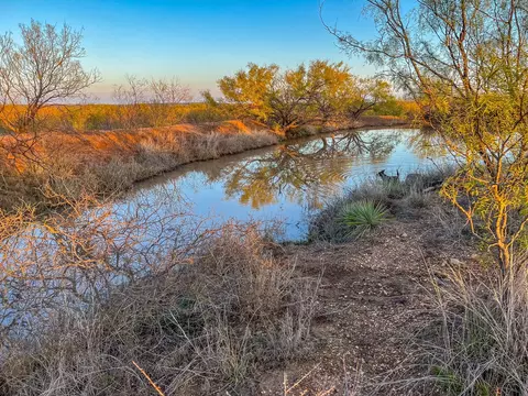 14 E Acres E Fm 765, Lohn, TX 76852 photo 3