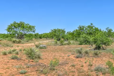 14 E Acres E Fm 765, Lohn, TX 76852 photo 10