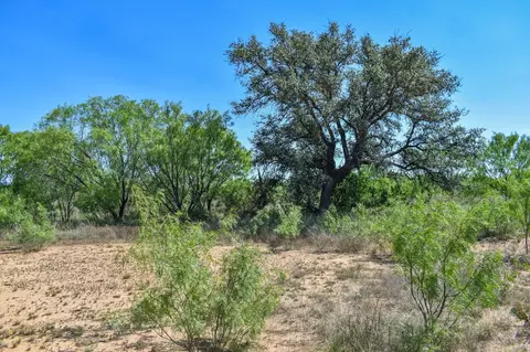 14 E Acres E Fm 765, Lohn, TX 76852 photo 7