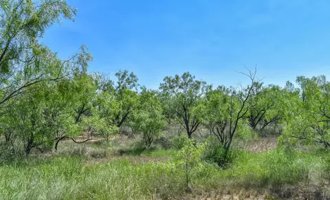 14 E Acres E Fm 765, Lohn, TX 76852 photo 9