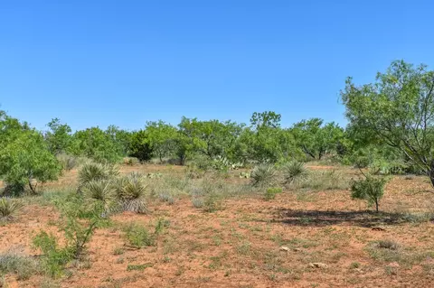 14 E Acres E Fm 765, Lohn, TX 76852 photo 13