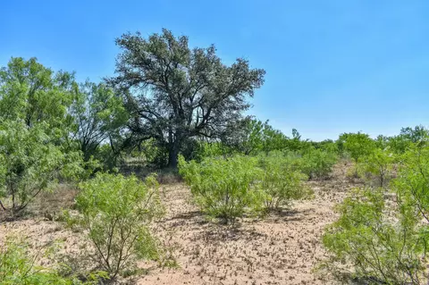 14 E Acres E Fm 765, Lohn, TX 76852 photo 11