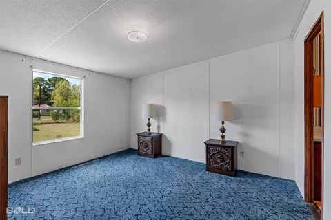 175 Kathryn Loop, Stonewall, LA 71078 photo 25