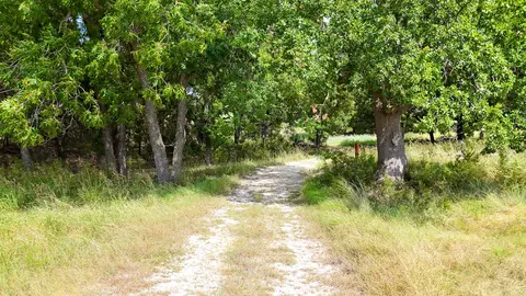 122 And 130 Private Road 2164, Iredell, TX 76649
