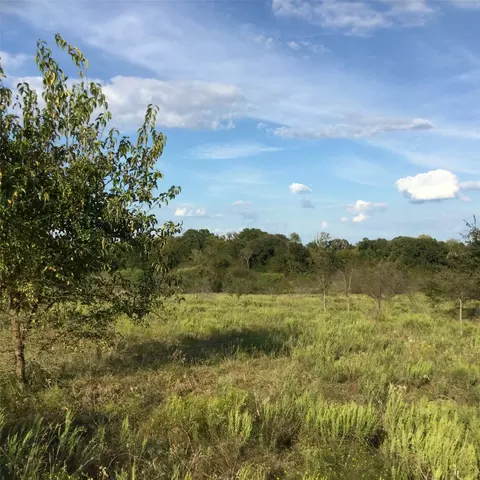 40 NE Acres Ne County Road 2160 #0, Kerens, TX 75144
