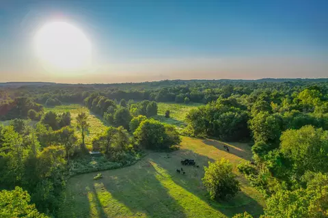 000 County Road 1804, Jacksonville, TX 75766