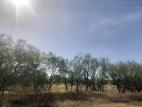 tbd Fm 266, Gustine, TX 76455