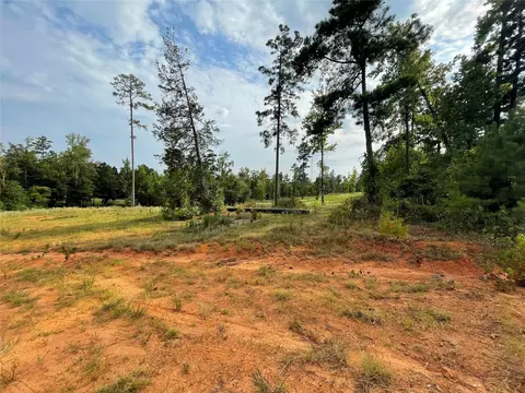 135 Fire Tower Rd, Plain Dealing, LA 71064 photo 3