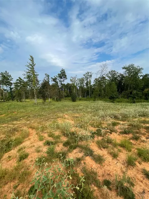 135 Fire Tower Rd, Plain Dealing, LA 71064 photo 2