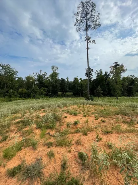 135 Fire Tower Rd, Plain Dealing, LA 71064 photo 5