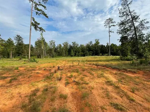 135 Fire Tower Rd, Plain Dealing, LA 71064 photo 4