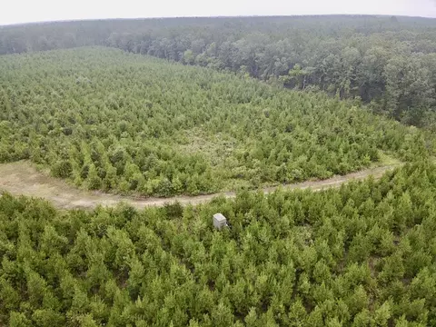 0000 Cr 2124, Clarksville, TX 75426
