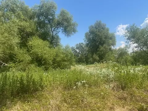 Other - 455 Fm 71, Commerce, TX 75428 photo 8 of 14