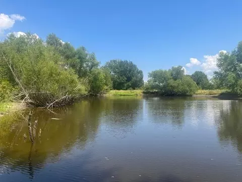View/Area - 455 Fm 71, Commerce, TX 75428 photo 6 of 12