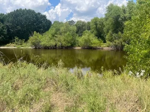 View/Area - 455 Fm 71, Commerce, TX 75428 photo 5 of 12