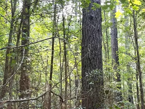 000 Highway 615 Hwy, Haynesville, LA 71038