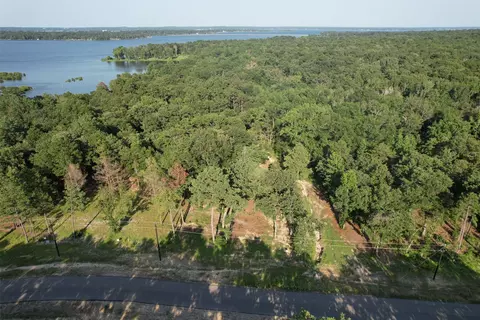 3242 Shadow Pine Dr, Larue, TX 75770