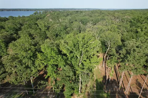 3226 Shadow Pine Dr, Larue, TX 75770