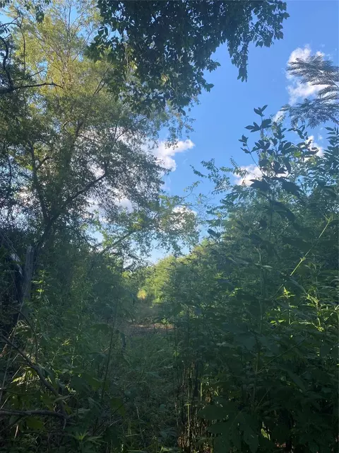 lot53 Harris, Sulphur Springs, TX 75482