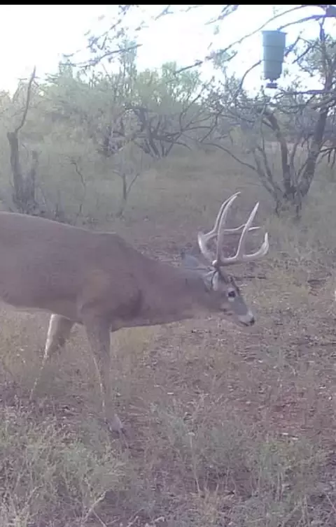 1400 Hammond Rd, Quanah, TX 79252