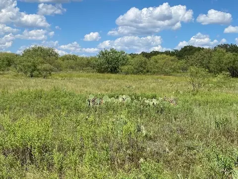 0000 County Road 334, Blanket, TX 76432