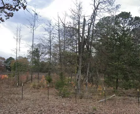 tbd County Rd Se 4350, Scroggins, TX 75480