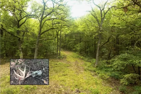 tbd Pearce Rd, Collinsville, TX 76233