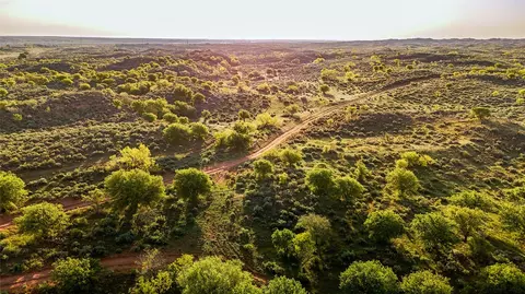 1241 County Road 24, Estelline, TX 79201