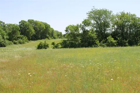 tbd 1233 County Road 3210 St, Dodd City, TX 75438