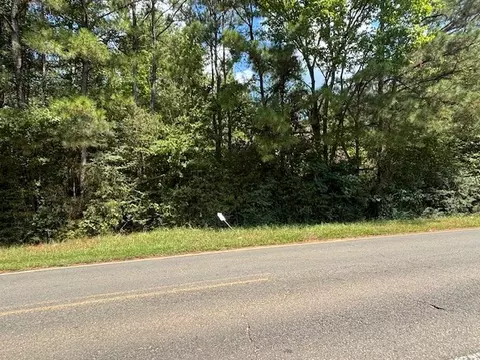 0 Dorcheat Rd, Minden, LA 71055 photo 2