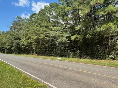 0 Dorcheat Rd, Minden, LA 71055 photo 3